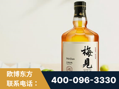 凌源-梅见青梅酒